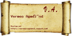 Vermes Agmánd névjegykártya